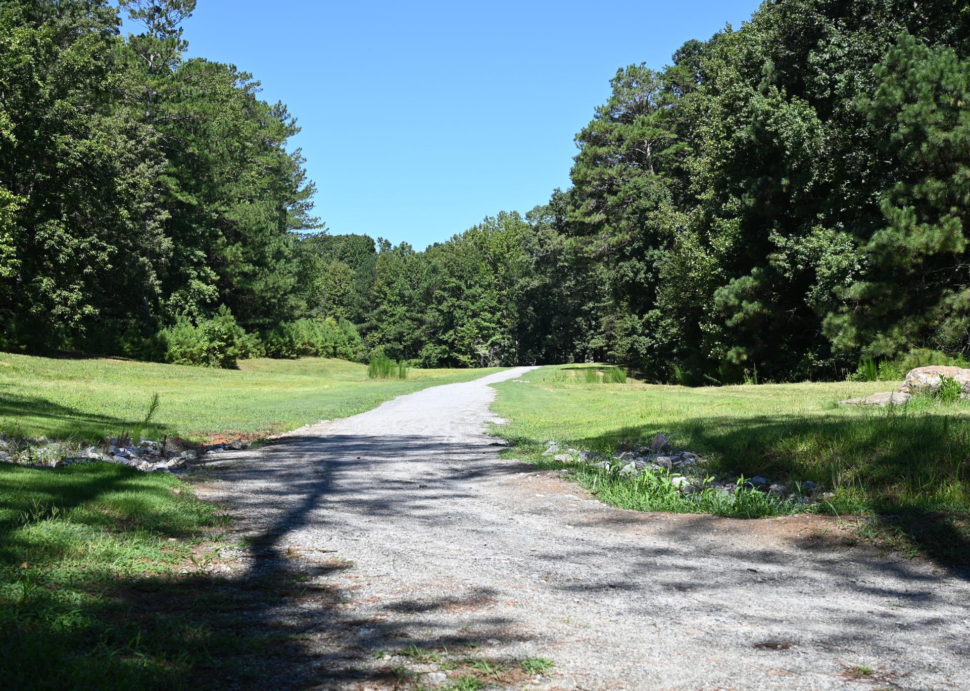 Trail view