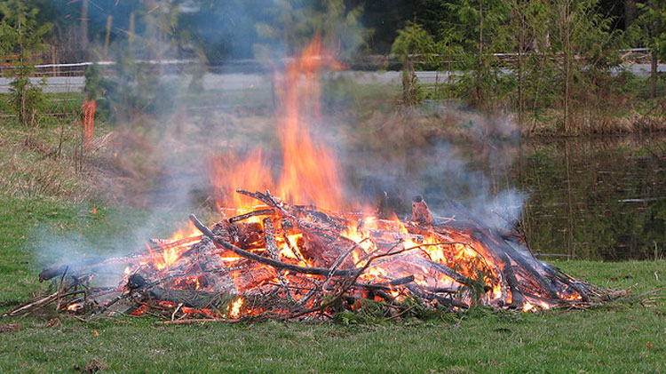 outdoor burn pile field pond