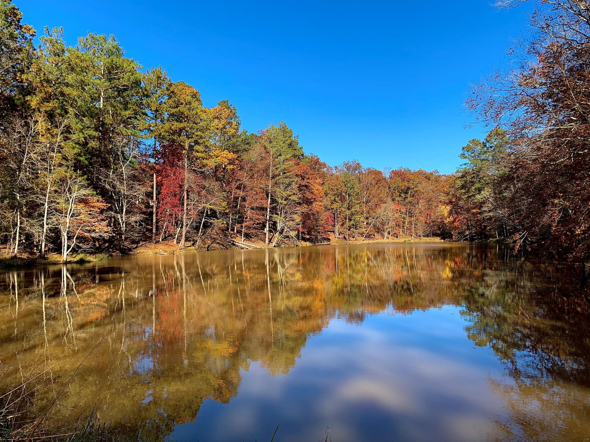 lackey lake