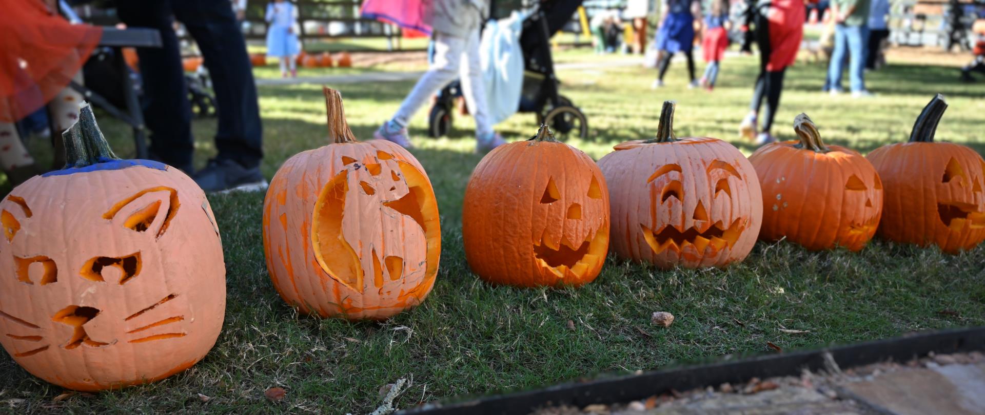 Hundreds celebrate Halloween at fun Carvin' in Crabapple event