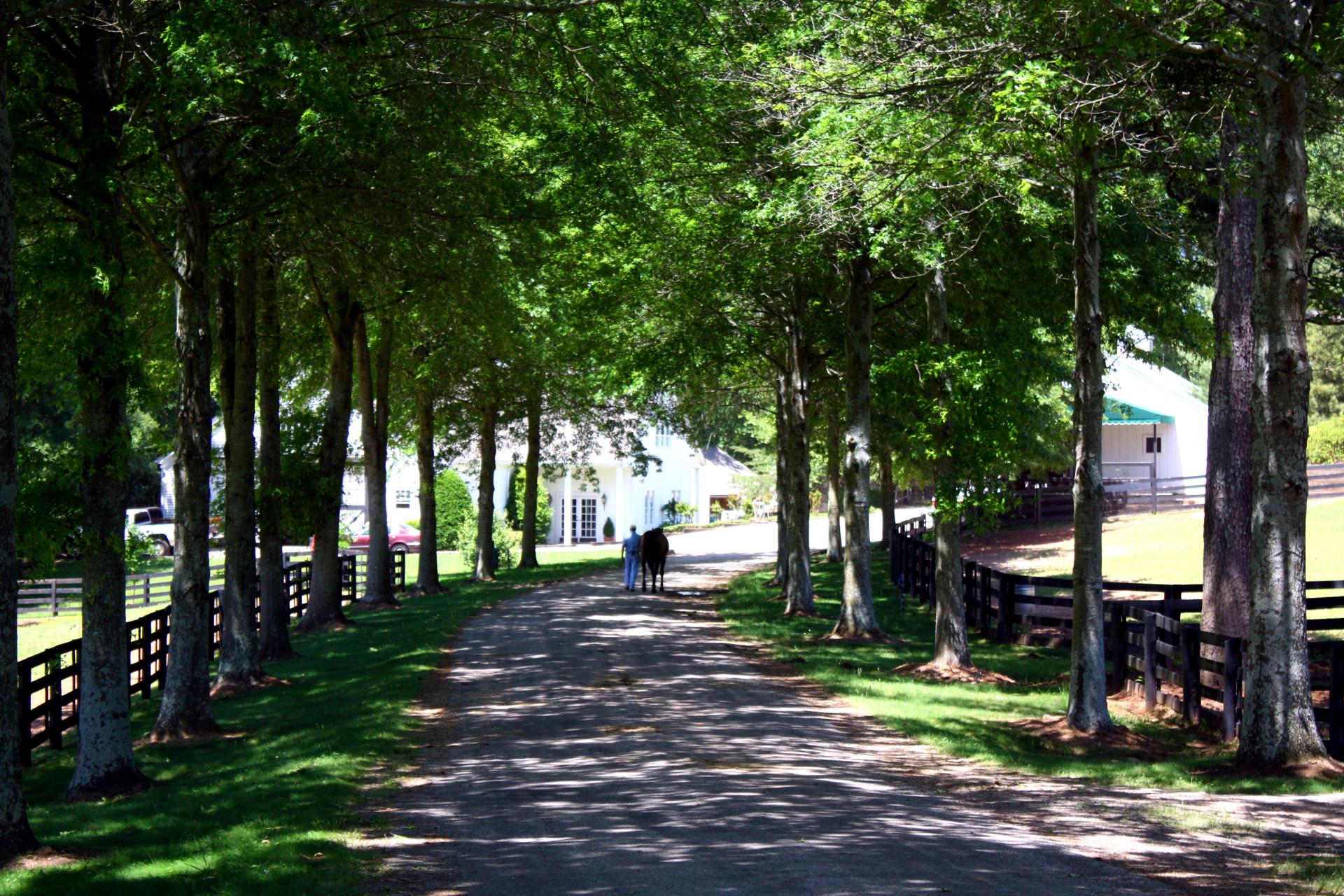 Horse Farm_Rider_Horse_Robert Meyers 8