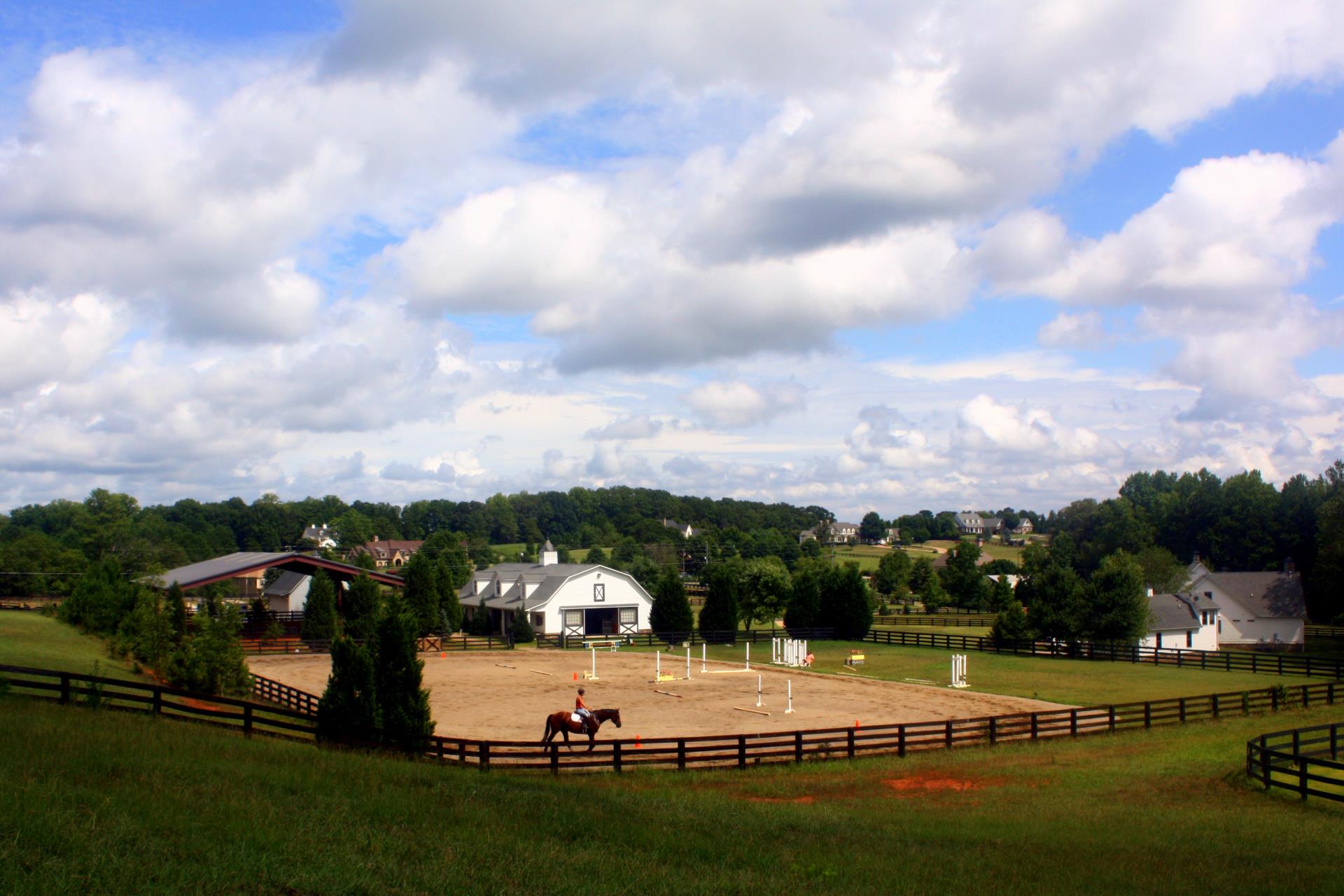 Horse Farm_Robert Meyers 1