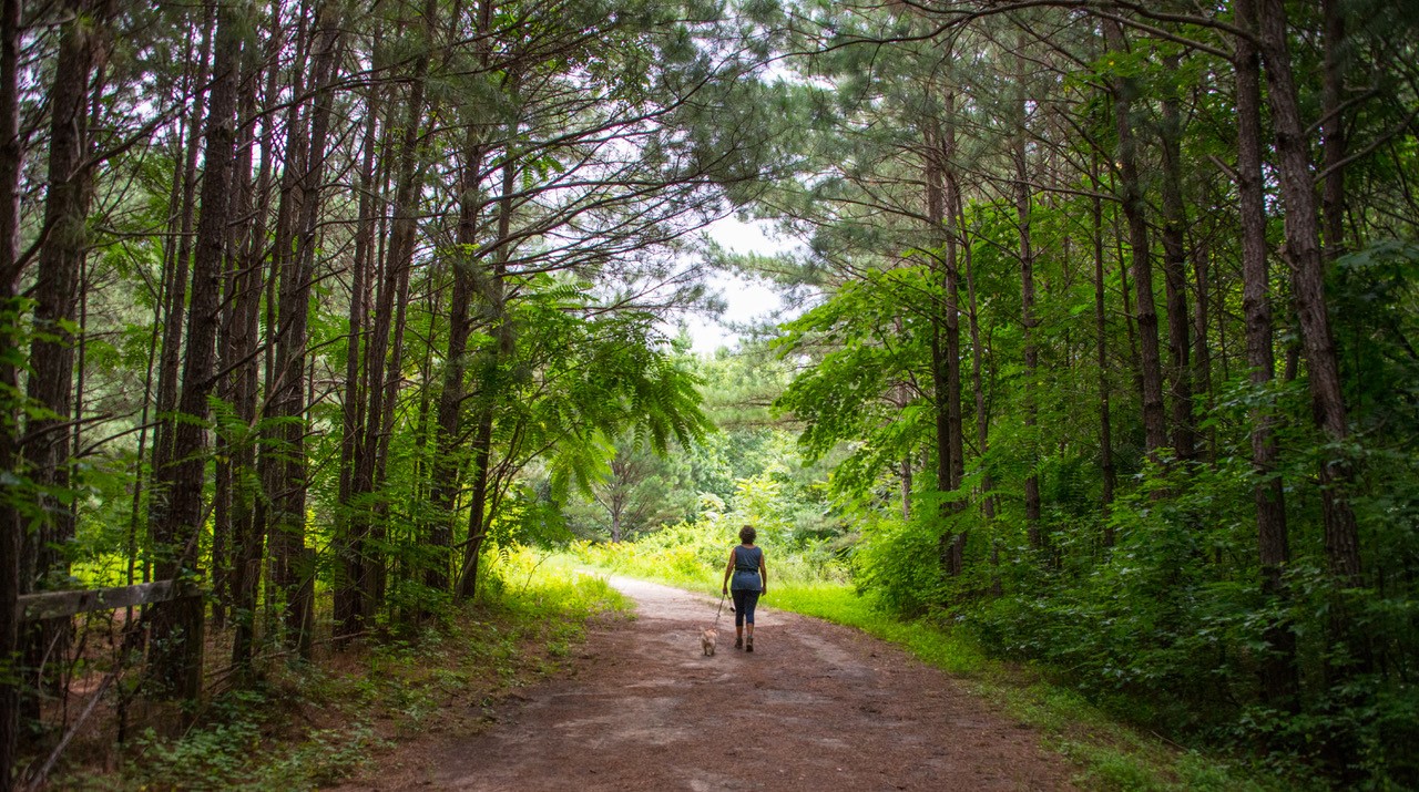 Birmingham.Park.Trail