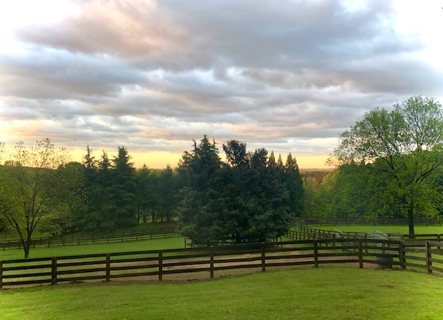 horse.farm.pretty.cloudy.sky