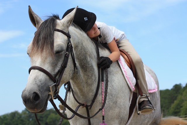 girl.hugging.white.horse