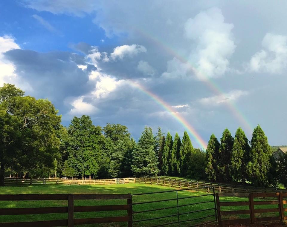 twin.rainbows.over.horse.farm