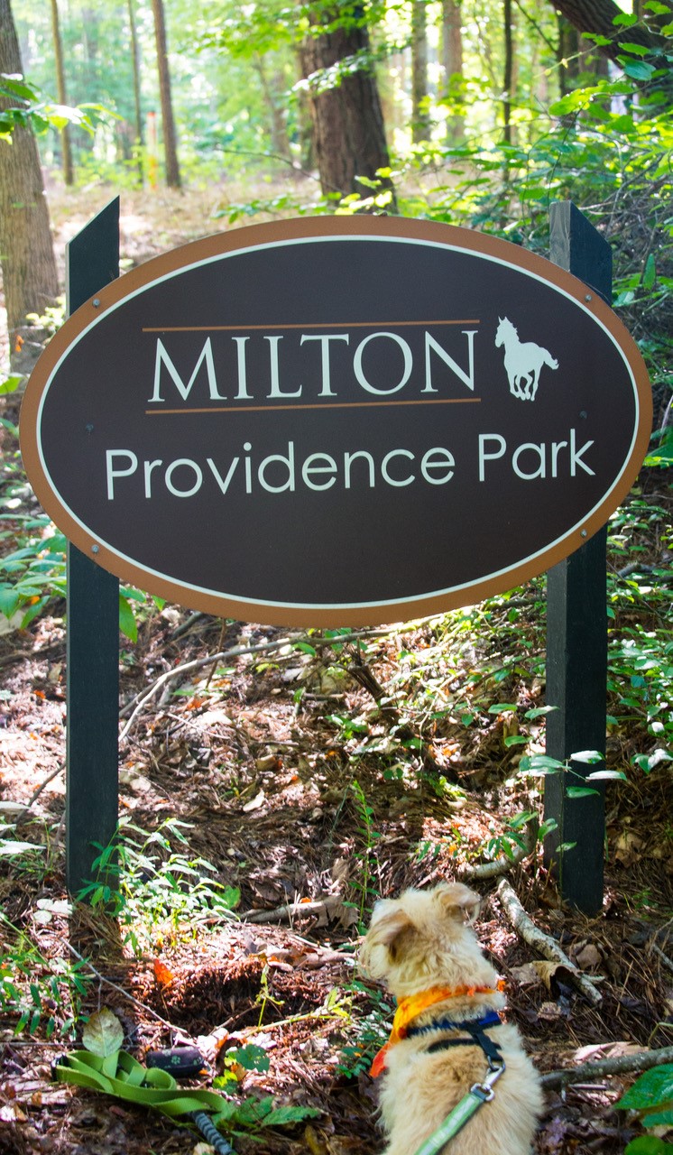 Providence.Park.sign