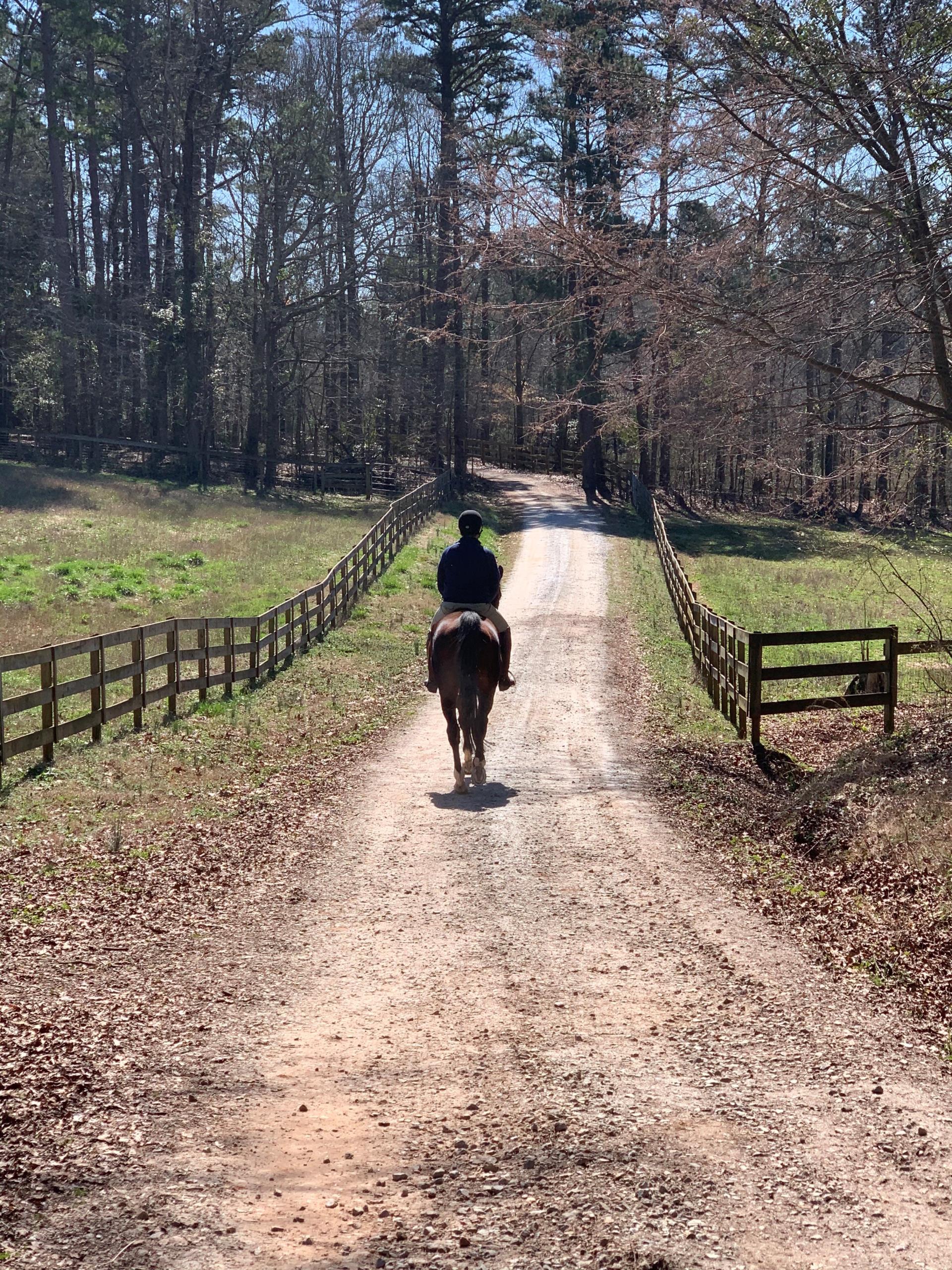 riding.horse.on.dirt.trail.between.fences