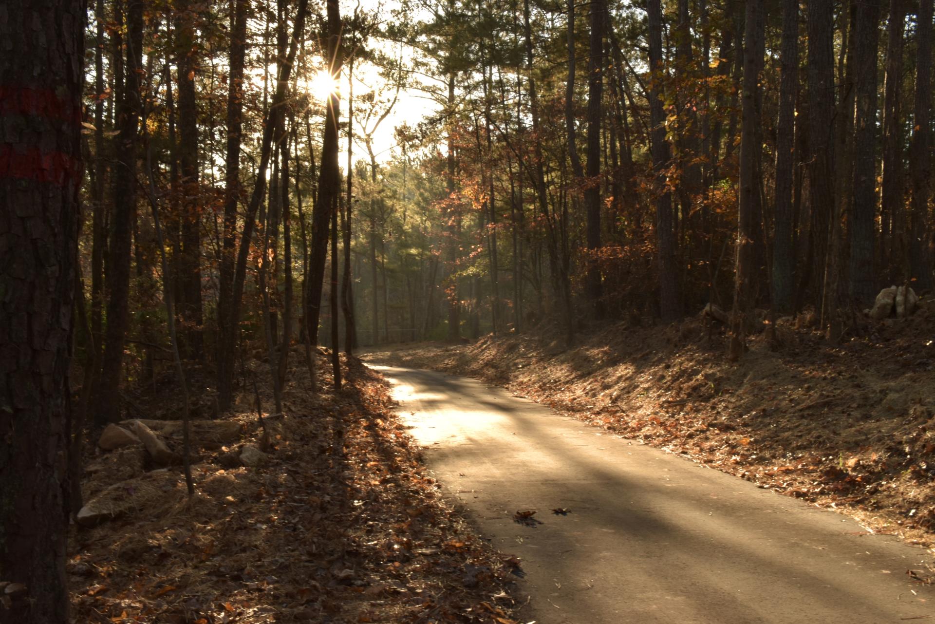 Providence Park ADA trail