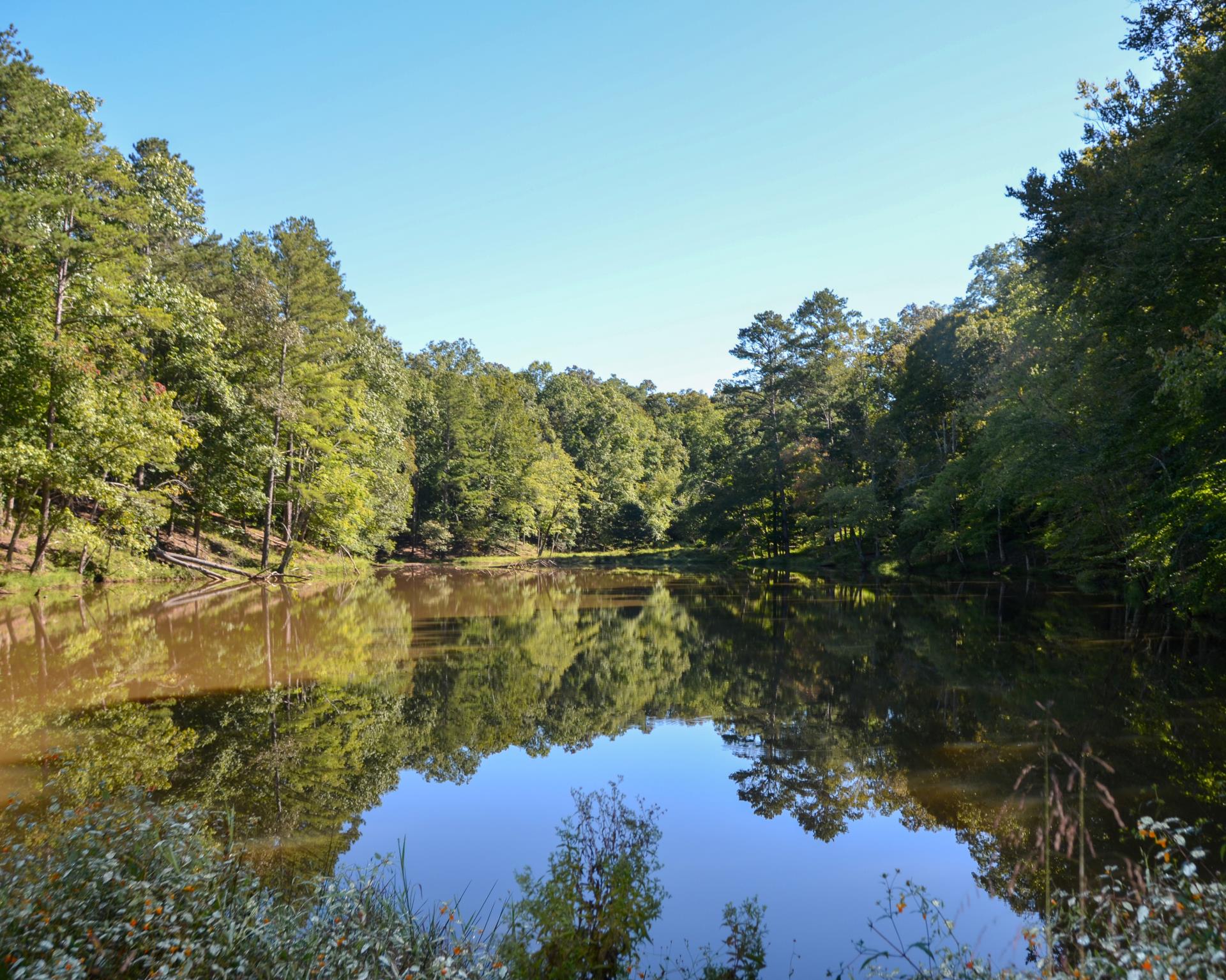 Lackey_lake.with.wildflowers.in.foreground