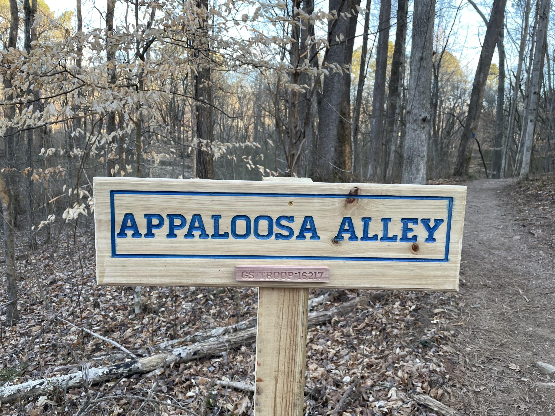 Closeup of Appaloosa Alley sign