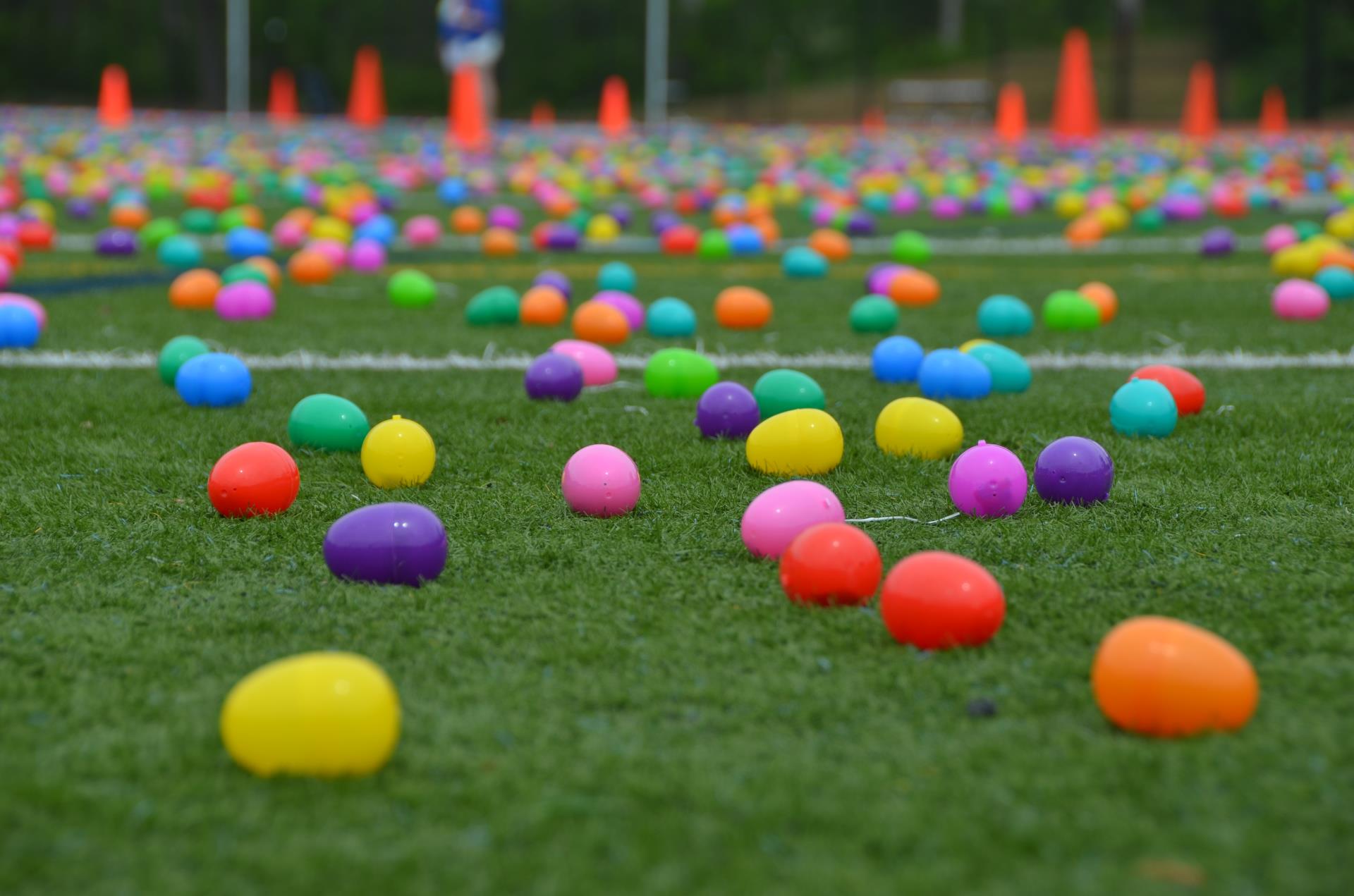 Community Egg Hunt 2019