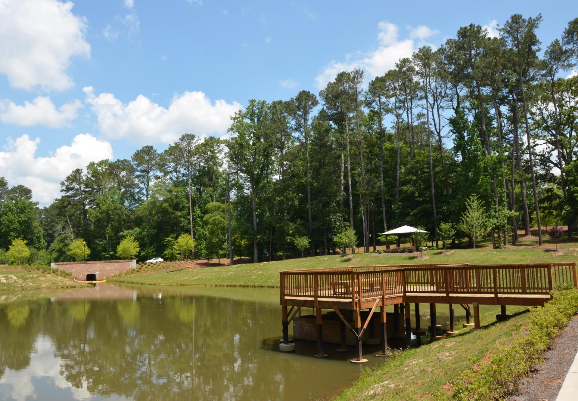 green with full pier looking onto trail