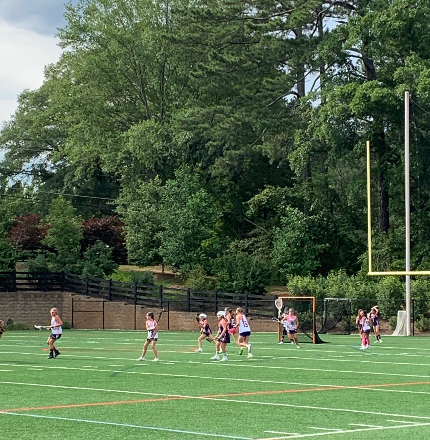 Eagle Stix 2.June2020SummerProgram.Cropped