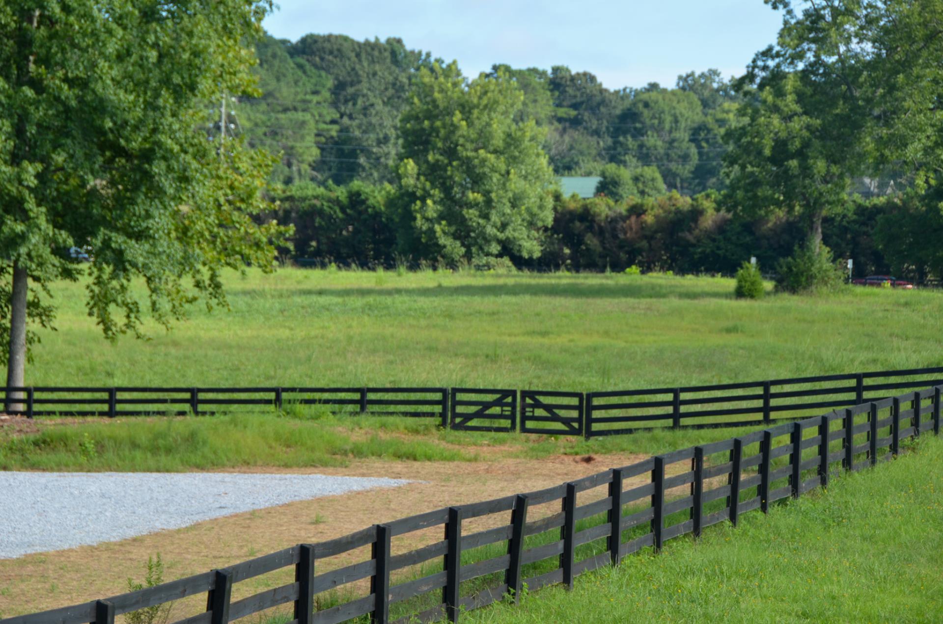 Birmingham Freemanville greenspace pasture