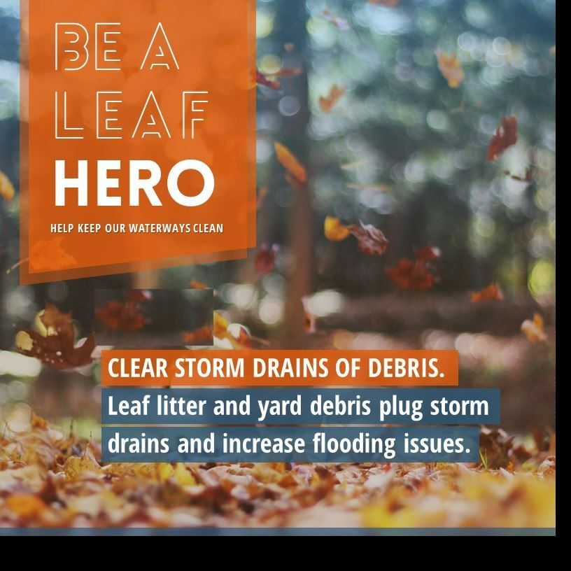 leaf hero stormwater2022 poster