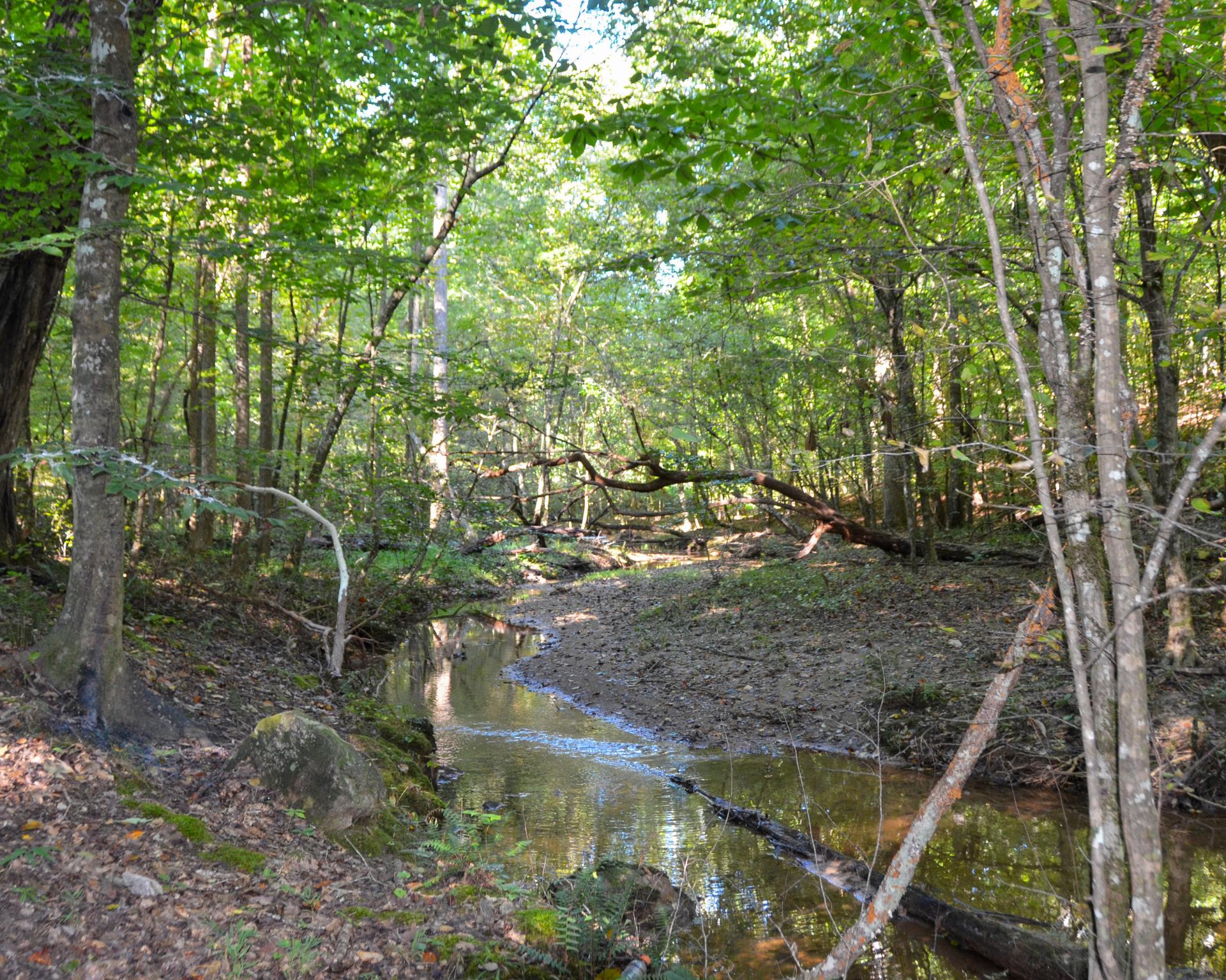 Lackey_creek.running.near.trail