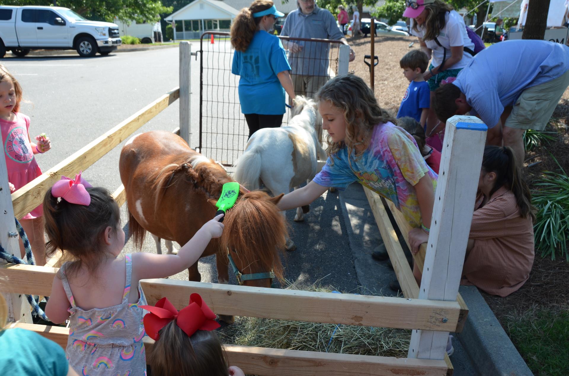 Meet the Neigh-bors 2019 Minis