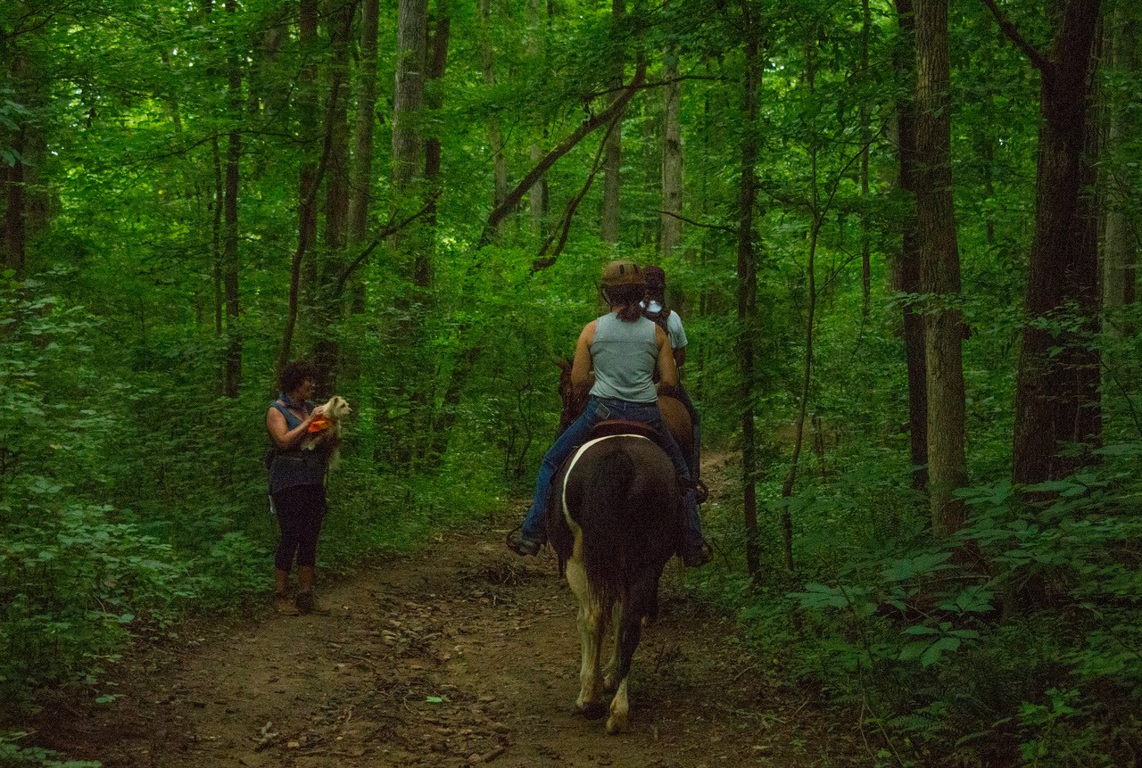 Dog.Meets.Horse.Trail