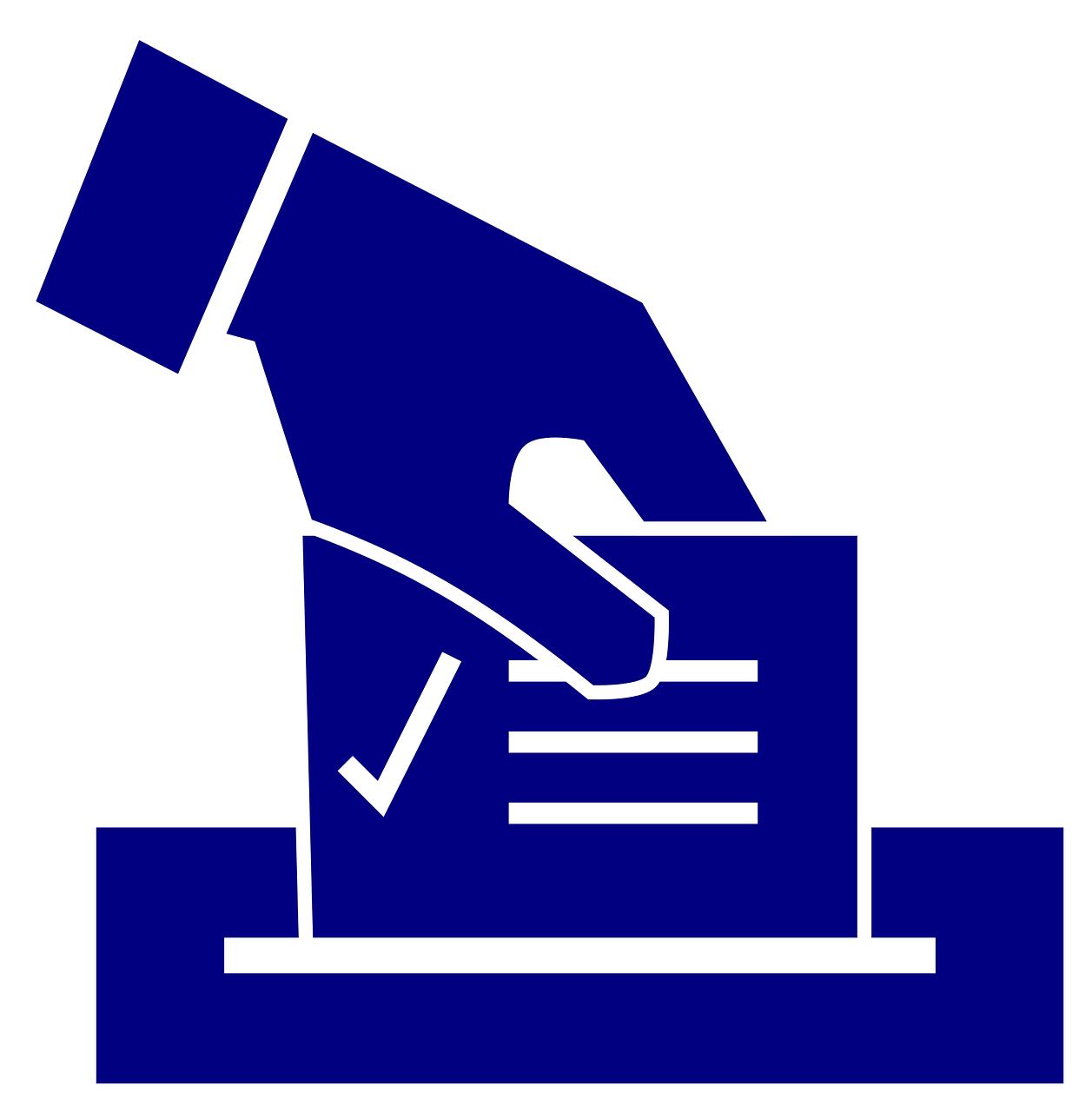 check ballot box graphic