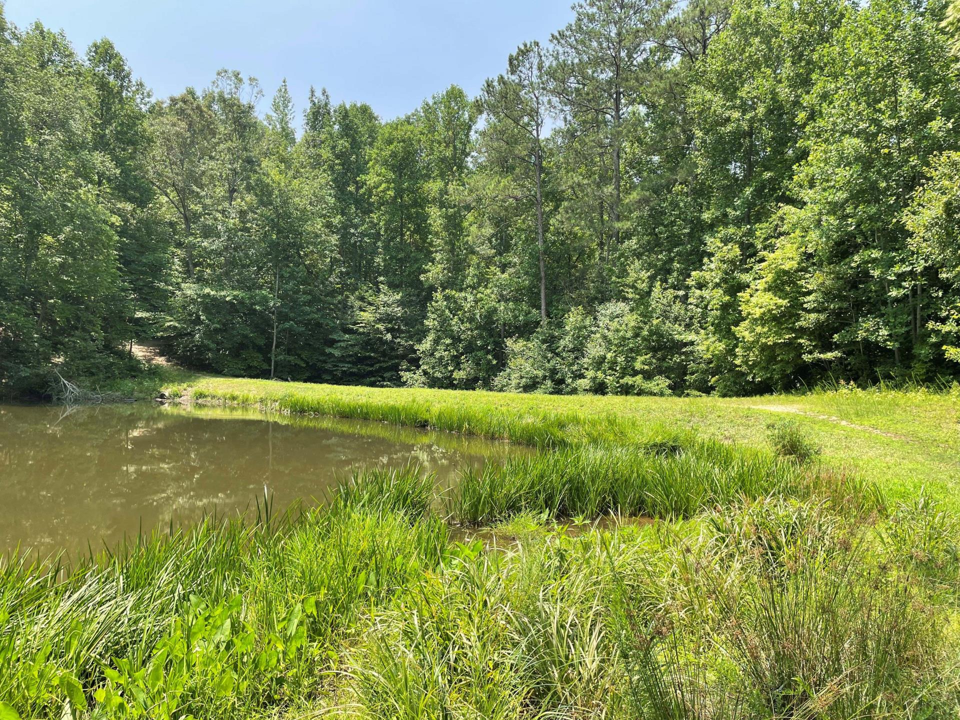 green lakeside.smaller