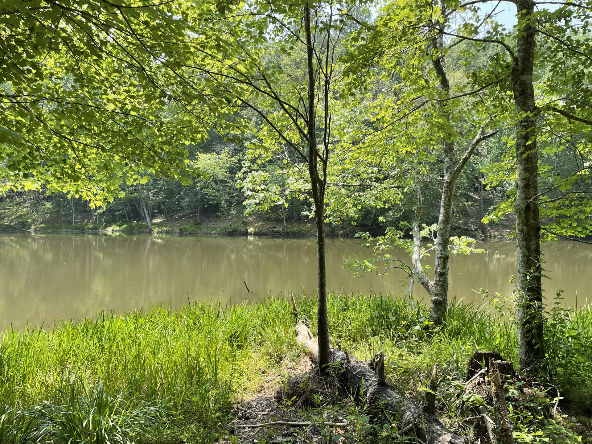 different lake view