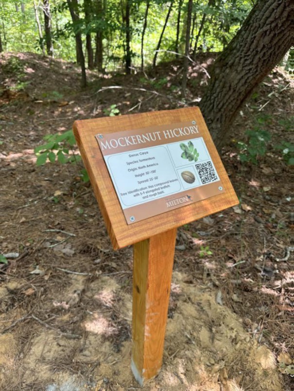 Mockernut hickory sign