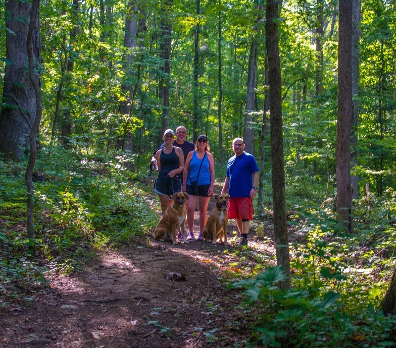 Cropped.Group.walking.dogs1