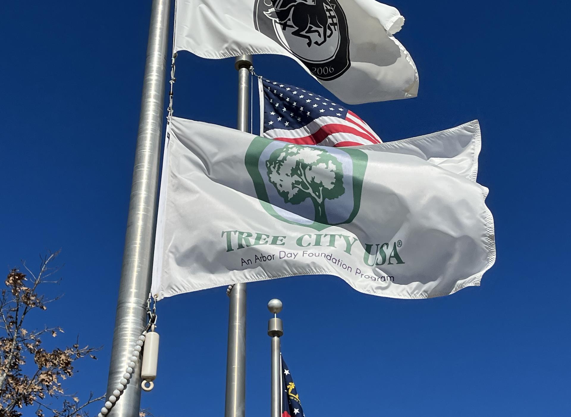 Tree City USA flag with some City flag