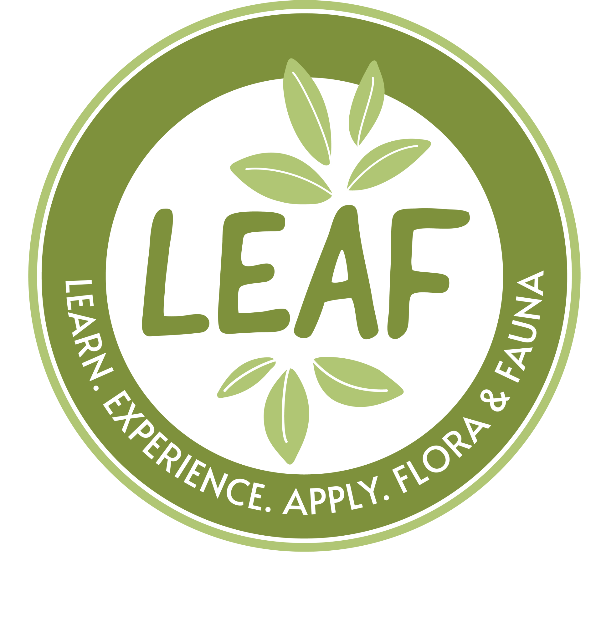 Leaf Logo