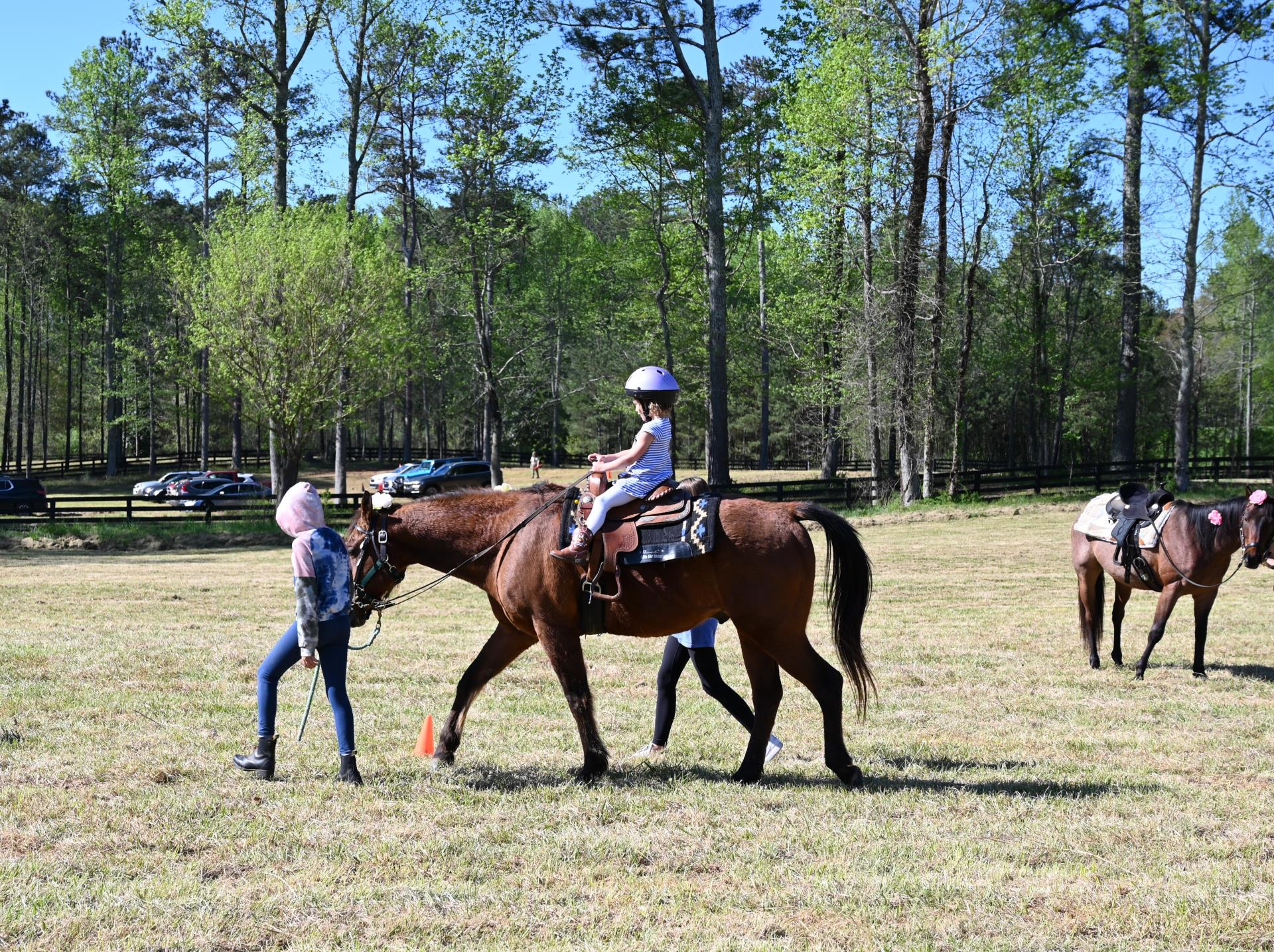 Toddler on Horse 